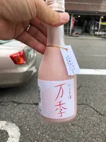 深雪の里（道の駅ゆのたに内）の写真・動画_image_547629