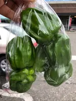 深雪の里（道の駅ゆのたに内）の写真・動画_image_547630