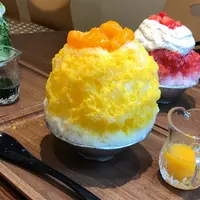 これがかき氷の写真・動画_image_547826