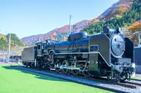 谷川岳ロープウェイの写真・動画_image_547842