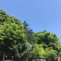 川越熊野神社の写真・動画_image_547858