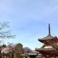 川越大師 喜多院の写真・動画_image_547866