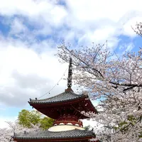 川越大師 喜多院の写真・動画_image_547867