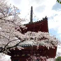 川越大師 喜多院の写真・動画_image_547868