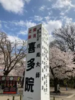 川越大師 喜多院の写真・動画_image_547869