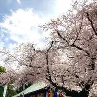 川越大師 喜多院の写真・動画_image_547871