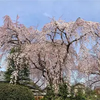 中院の写真・動画_image_547877