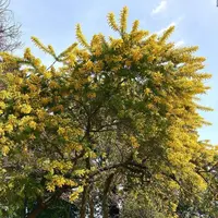 中院の写真・動画_image_547878