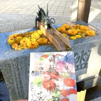 川越八幡宮の写真・動画_image_547882