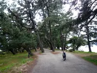 天橋立傘松公園 ケーブルカー・リフト乗り場（府中駅）の写真・動画_image_547901