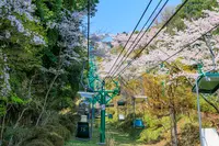 天橋立傘松公園 ケーブルカー・リフト乗り場（府中駅）の写真・動画_image_547905