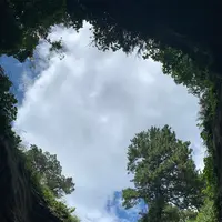 堂ケ島天窓洞の写真・動画_image_548264