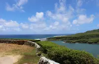 タロフォフォ湾の写真・動画_image_548666