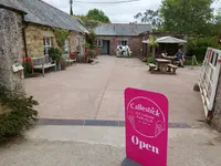 Healey's Cornish Cyder Farmの写真・動画_image_548865