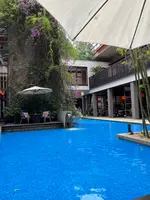 cotton. WITH THE STYLE FUKUOKAの写真・動画_image_549271