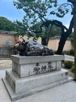 太宰府天満宮の写真・動画_image_549294