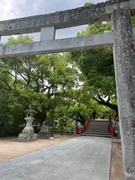 太宰府天満宮の写真・動画_image_549296