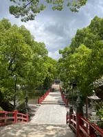 太宰府天満宮の写真・動画_image_549300