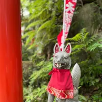 天開稲荷大明神 奥の院の写真・動画_image_549305