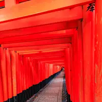 伏見稲荷大社の写真・動画_image_549350