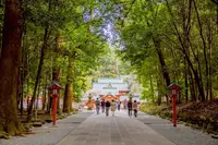 霧島神宮の写真・動画_image_549581