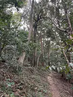 伯耆國一之宮 倭文神社の写真・動画_image_549590