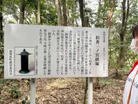 伯耆國一之宮 倭文神社の写真・動画_image_549591