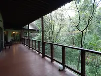 モダン湯治 おんりーゆーの写真・動画_image_549903