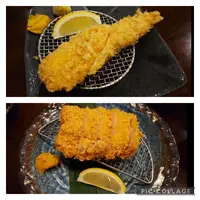 豚食健美 優膳の写真・動画_image_550329
