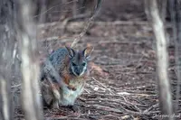 ストークス・ベイの写真・動画_image_550423