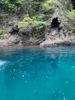 力屋観光汽船の写真・動画_image_550544