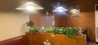 ハングリーボックスユキの写真・動画_image_550643