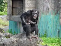 伊豆シャボテン動物公園の写真・動画_image_550702