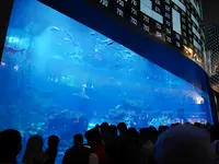 ドバイ・モールの写真・動画_image_550710