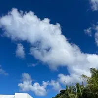 フジタ・ビーチの写真・動画_image_550826