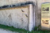 黒部ダムの写真・動画_image_550860