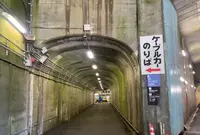 黒部ダムレストハウスの写真・動画_image_550864