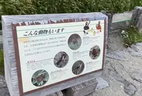 室堂平の写真・動画_image_551069