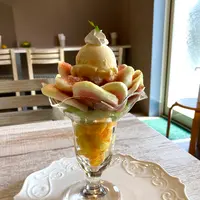 銀時の写真・動画_image_551140