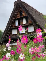 白川郷の写真・動画_image_551334