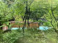 泡の湯旅館の写真・動画_image_551337
