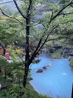 泡の湯旅館の写真・動画_image_551338
