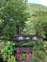 泡の湯旅館の写真・動画_image_551339