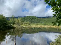 乗鞍高原の写真・動画_image_551346