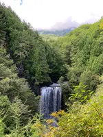 善五郎の滝の写真・動画_image_551350