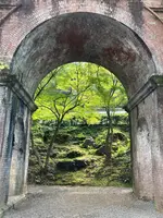 南禅寺の写真・動画_image_551971