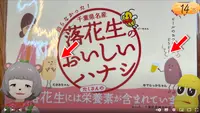 酒井のピーナツの写真・動画_image_553041