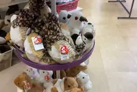 ホテル立山 売店の写真・動画_image_553723