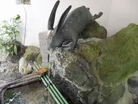 宇治神社の写真・動画_image_55475