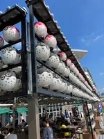 唐戸市場の写真・動画_image_555009